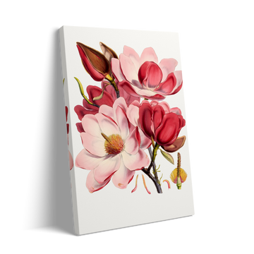 PINK FLOWERS